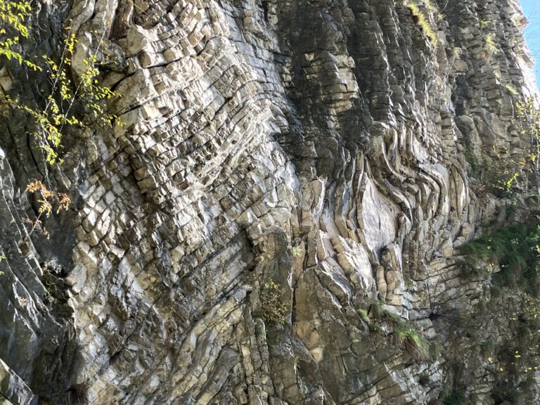 Particolare del Sasso di Gandria