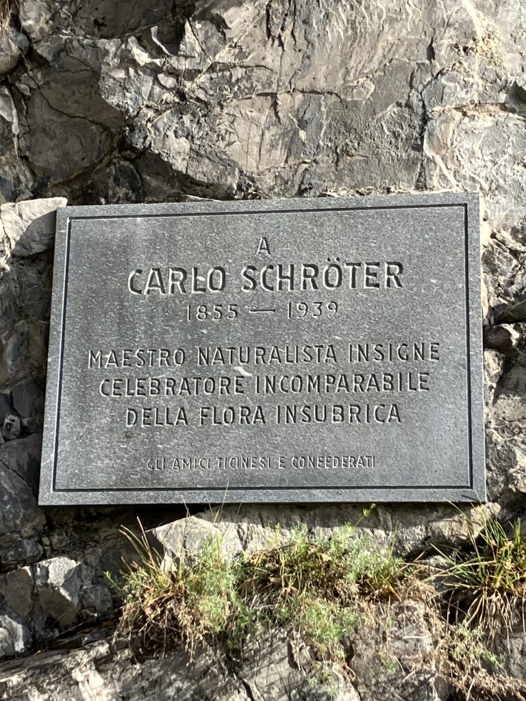 Targa commemorativa a Carlo Schröter sul Sasso di Gandria